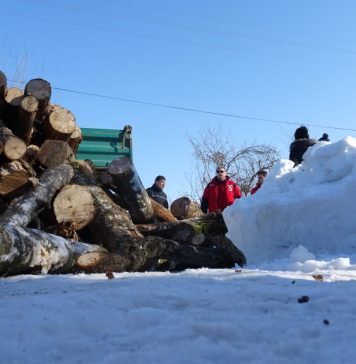 AUR: Camioane încărcate neregulamentar cu material lemnos, identificate de parlamentarii AUR care au vizitat fabrica HS Timber din Covasna