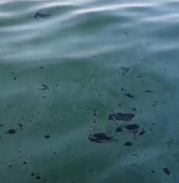 STUDIU/ Cantităţile de plastic care ajung în oceane ar putea să se tripleze până în 2040