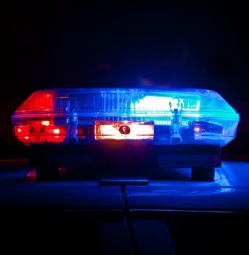 Preşedinte Europol, despre cazul de la Alba: Nu putem vorbi despre un nou caz Caracal pentru că în cazul de faţă nu am avut niciun dosar penal, nicio plângere privind lipsirea de libertate