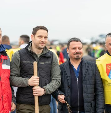 Ștefan Rădulescu (CJ Ilfov): Pădure nouă de salcâmi și frasini, la Cernica. Au fost peste 1.000 de voluntari la acțiunea de plantare – FOTO