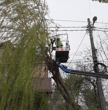 ADP Sector 1, mobilizare pentru înlăturarea arborilor doborâți din cauza vântului