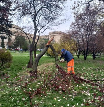 Nicușor Dan anunță că începe curăţenia de primăvară în parcuri, spaţii verzi şi aliniamente stradale din Bucureşti