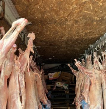 Piața Obor: Amenzi de aproape 300.000 de lei aplicate de ANPC/ Activitatea închisă temporar pentru patru agenți economici