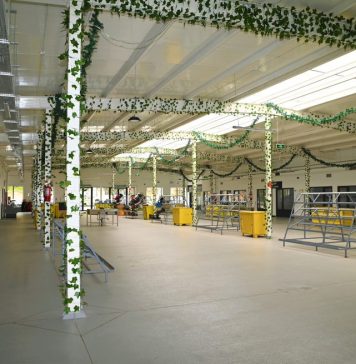 Primăria Sectorului 2 reduce tarifele pentru închirierea spațiilor comerciale din Piața Cremenița / Care sunt noile tarife