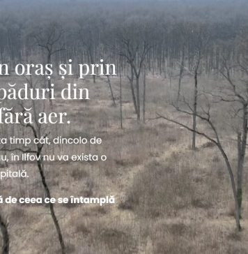O platformă civică solicită autorităţilor începerea demersurilor pentru crearea Centurii Verzi Bucureşti-Ilfov