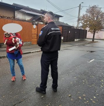 Peste 200 de proprietari de animale din Bucureşti, amendaţi de la începutul anului de Poliția Locală