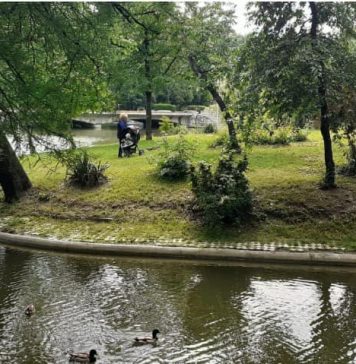 Nicușor Dan: Parcul Carol I va avea un nou sistem de irigații pentru spațiile verzi