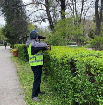 Amplu program de amenajare a spaţiilor verzi din Sectorul 1. Clotilde Armand: „Schimbăm înfăţişarea Sectorului 1, cartier cu cartier, stradă cu stradă”