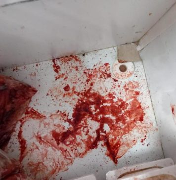 Piețele Crângași și Drumul Taberei din București, amendate de ANPC. Lista cu neregulile găsite de inspectori