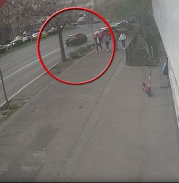 Primele rezultate ale necropsiei, în cazul bărbatului lovit de Monica Odagiu. De ce a murit bărbatul