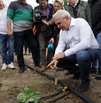 Liviu Dragnea are propria emisiune: „Bucătăria de acasă” – rețetă de fasole galbenă păstăi