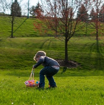 Primăria Sectorului 2 ANULEAZĂ evenimentul „Egg Hunt” din 17 aprilie, din cauza prognozei meteo