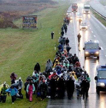 More than 50 migrants, found at Arad border crossing point hidden among metal profiles in truck