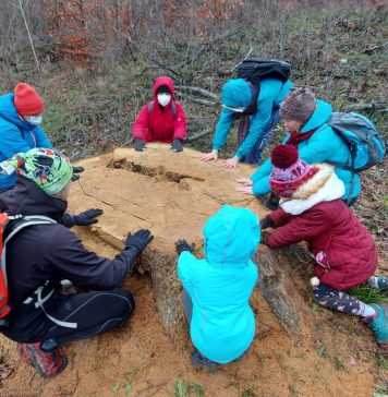Zeci de artiști, jurnaliști, cercetători, ONG-uri și grupuri civice s-au unit în Platforma „Împreună pentru Centura Verde”, pentru protejarea vieții în Capitală