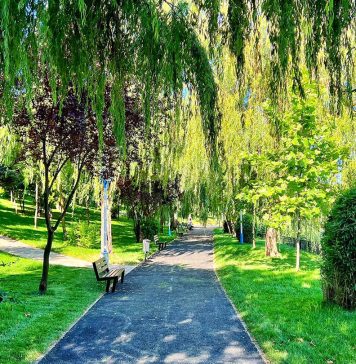 ALPAB anunţă licitaţie pentru 1.500 de bănci şi 1.500 de coşuri de gunoi la o valoare de 5,9 milioane lei