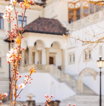 Noaptea Muzeelor 2023: Muzeul Naţional Cotroceni va putea fi vizitat gratuit fără programare prealabilă