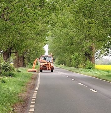 Ilfov: Tratamente pentru combaterea și distrugerea buruienii ambrozia pe DJ 200 Gagu-Grădiștea