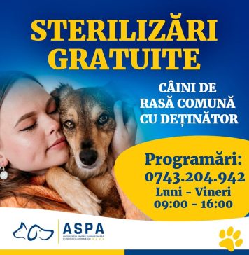Peste 600 de animale au fost sterilizate gratuit în Municipiul București în luna aprilie