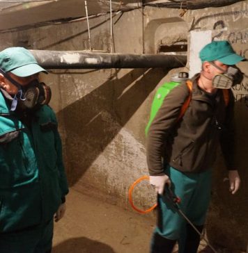 Asociațiile de proprietari din București pot beneficia gratuit de tratamente împotriva gândacilor