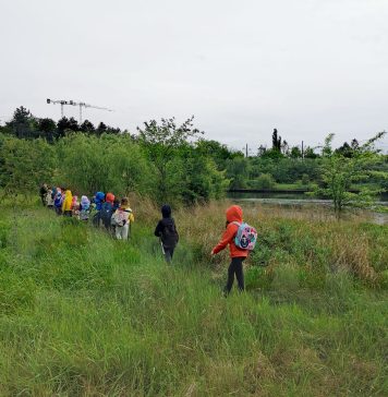 Bucureştenii pot participa la tururi ghidate în zona Petricani