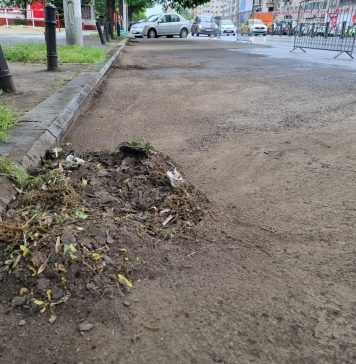 Curățenie pe Șoseaua Ștefan cel Mare din Sectorul 2 – FOTO/ VIDEO
