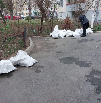 Două „depozite” ilegale de deșeuri, depistate de Poliția Locală Sector 2