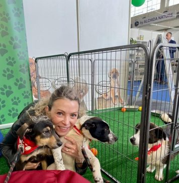 Opt căței, adoptați în cadrul evenimentului PetExpo din weekend