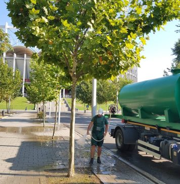 Proiectul prin care PMB preia bunurile Companiei Municipale Întreținerea Arborilor și Spațiului Verde București, adoptat