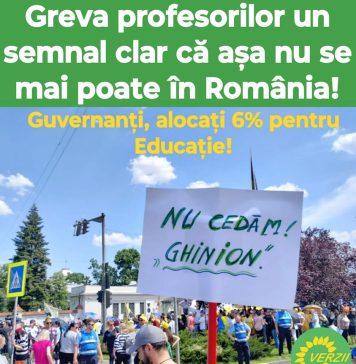 Partidul Verde: Noi, Verzii, suntem solidari cu cadrele didactice pe care disperarea le-a împins în stradă