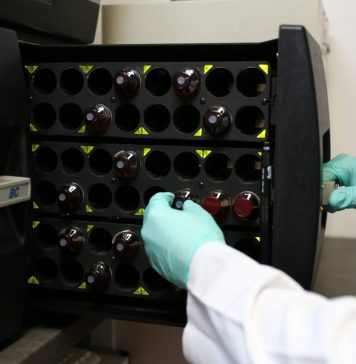 Creștere de 74% a numărului de tratamente cu celule stem. Ce afecțiuni sunt tratate în România cu ajutorul celulelor stocate în regim de criogenie?