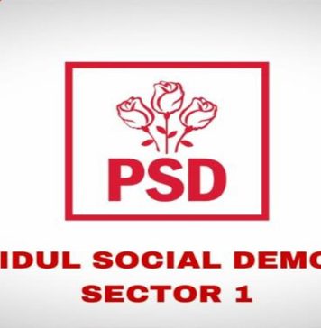 PSD Sector 1: Am dublat cuantumul Pachetului de servicii educaționale și sociale pentru copiii și elevii din sector