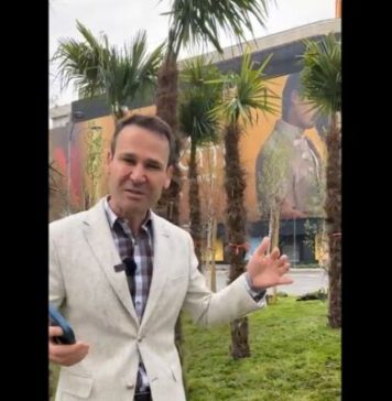 Reacția lui Robert Negoiță după ce Nicușor Dan a scos palmierii plantați la Piața Unirii: ”Este circ ieftin … bucureştenii nu au apă caldă”