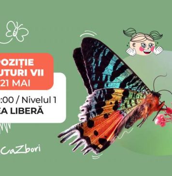 Expoziție de fluturi vii în Veranda Mall