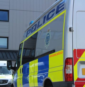 SUA: Un şofer care conducea cu viteză a încercat să facă schimb de locuri cu câinele său ca să evite arestarea