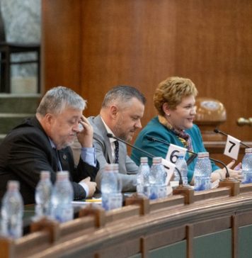 Oana Marciana Özmen: Am susținut în plenul Senatului primul proiect adresat producţiei de hidrogen verde şi hidrogen cu emisii scăzute din România