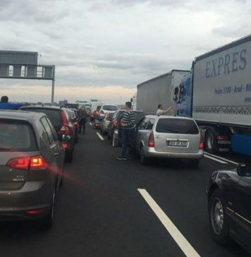 Dozens of migrants, caught while trying to illegally cross border into Hungary