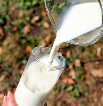 Romania imports 30,200 tonnes of raw milk in Q1, down 13.4 pct from Q1 2022