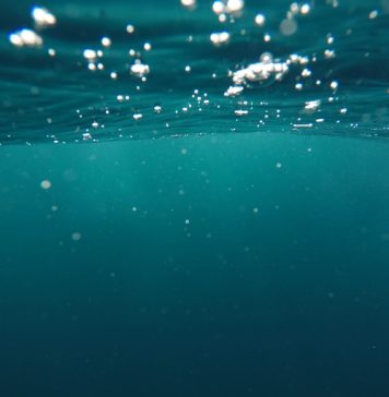 O navă de pescuit chineză s-a răsturnat în Oceanul Indian