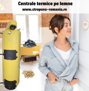 Cum să te pregătești pentru iarnă dacă folosești o centrală pe lemne