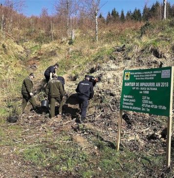 WWF Romania: Romsilva reform risks doing more harm than good