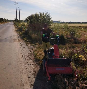 Ilfov: Tratamente pentru distrugerea ambroziei pe DJ 200 Gagu-Grădiștea, DJ 401A Bragadiru-Măgurele și DJ 401D Crețești-Copăceni