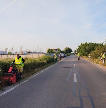 Ilfov: Tratamente de combatere și distrugere a ambroziei pe mai multe drumuri din județ