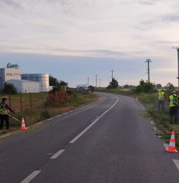 Ilfov: Tratamente de combatere a ambroziei pe DJ 200 Ștefănești – Dascălu și DJ 200 Dascălu – Gagu