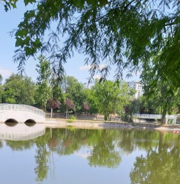 Licitaţie pentru servicii de pază în parcurile administrate de Primăria Capitalei