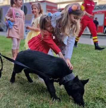 VIDEO/ Peste 5.000 de persoane, la ”Ziua Porţilor Deschise pentru Copii la MAI”