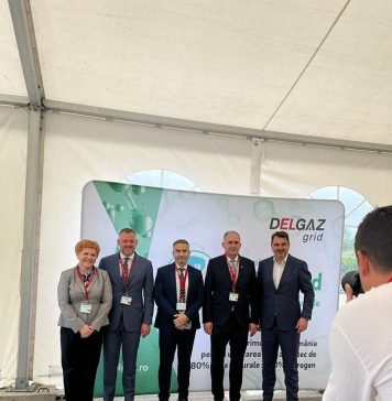 Oana Marciana Özmen (PNL): Dezvoltarea sectorului energetic autohton depinde de crearea unei pieţe de hidrogen robuste