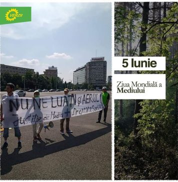 Partidul Verde (Verzii): Pentru noi, Verzii, protejarea mediului este mai mult decat un simplu slogan, este o obligație