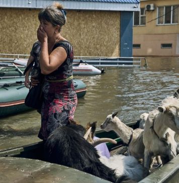 Distrugerea barajului de la Nova Kahovka: R.Moldova transmite Ucrainei un lot de ajutor umanitar în valoare de 4,2 mln. lei