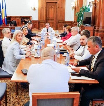 Oana Marciana Özmen (PNL): Lista miniștrilor propusă de Partidul Naţional Liberal oferă atât experiență, cât și viziune reformatoare noii formule guvernamentale