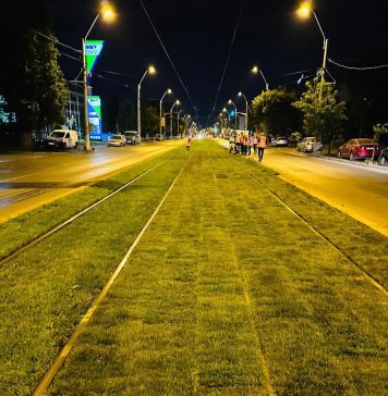 Angajații Infrastructură 5 au completat gazonul liniei de tramvai 32 de pe Calea Rahovei